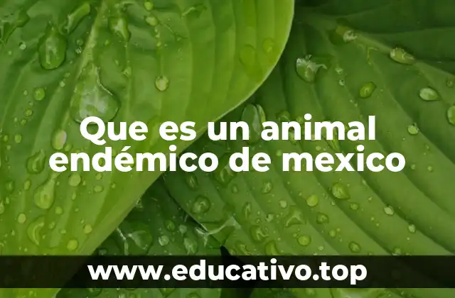 La importancia de los animales endémicos en la ecología mexicana