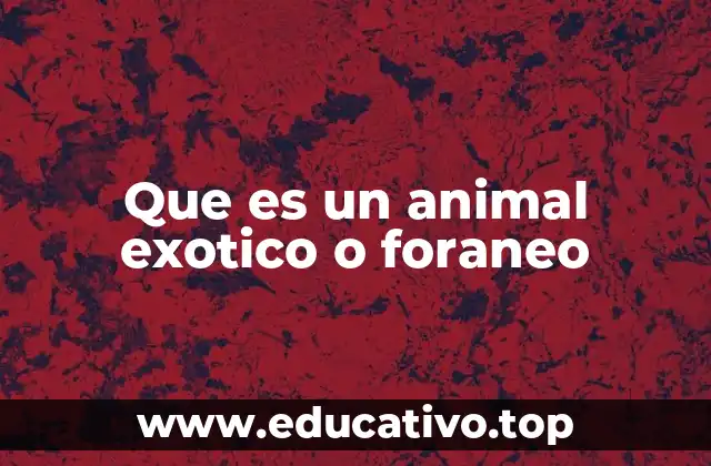 Que es un animal exotico o foraneo