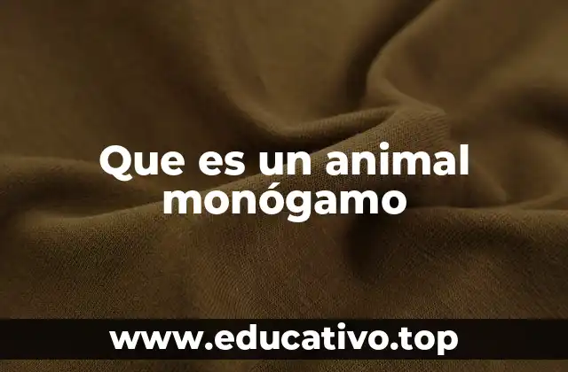 Que es un animal monógamo