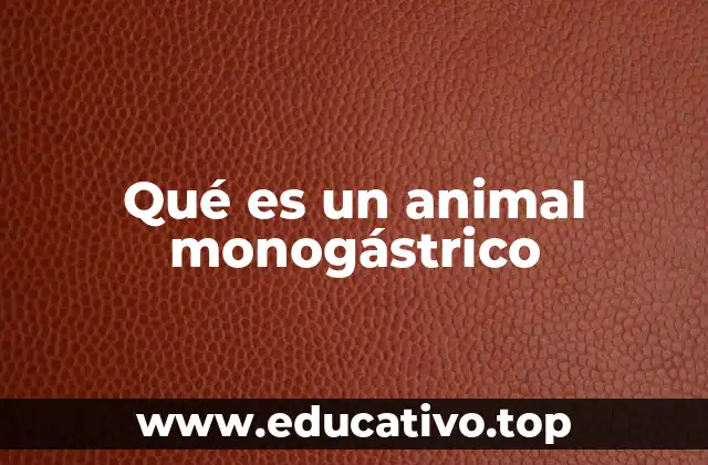 Qué es un animal monogástrico