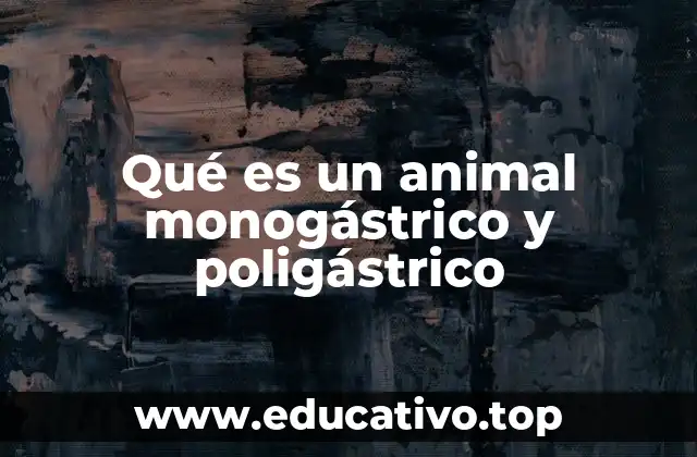 Qué es un animal monogástrico y poligástrico