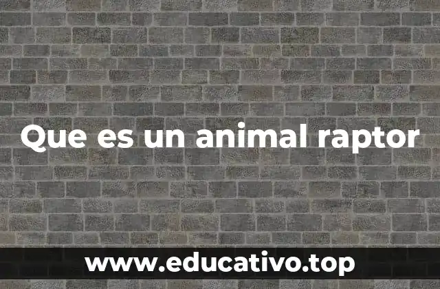 Que es un animal raptor