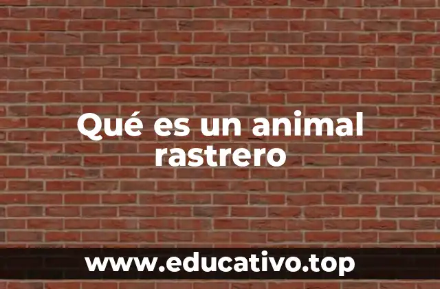 Qué es un animal rastrero