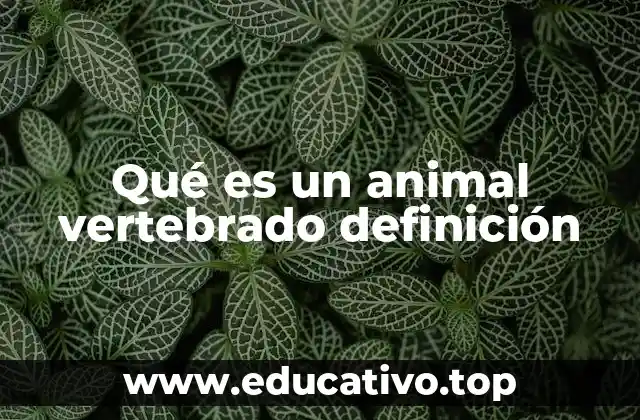 Qué es un animal vertebrado definición