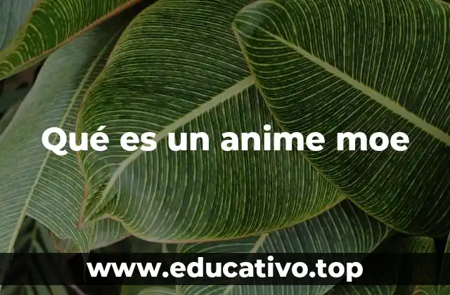 Qué es un anime moe