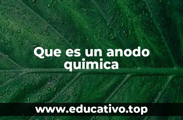 Que es un anodo quimica