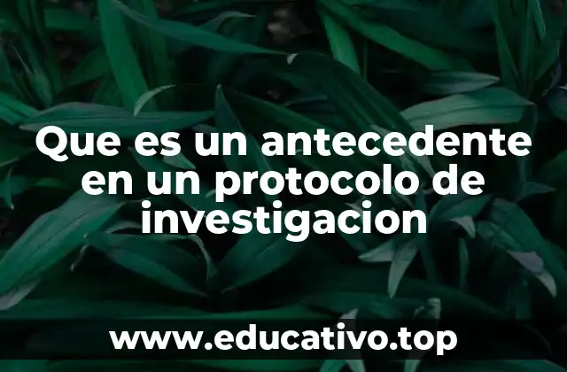 Que es un antecedente en un protocolo de investigacion