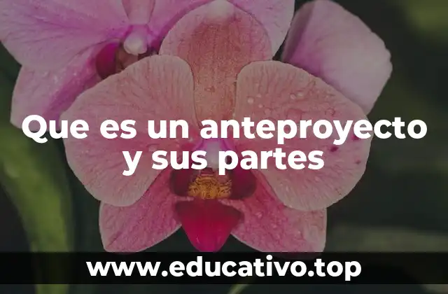 Que es un anteproyecto y sus partes