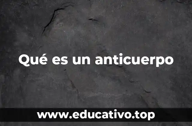 Qué es un anticuerpo