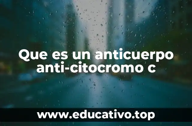 La importancia del citocromo c en la biología celular