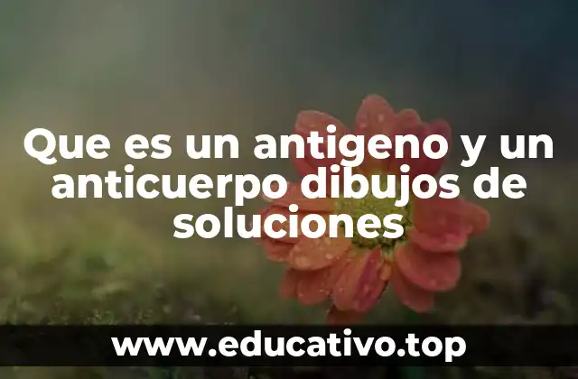 Que es un antigeno y un anticuerpo dibujos de soluciones