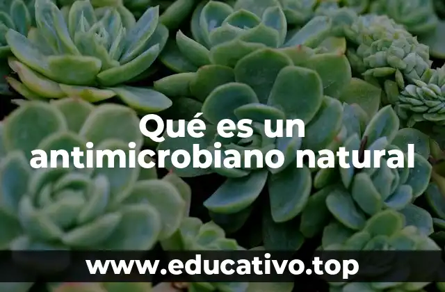 Qué es un antimicrobiano natural