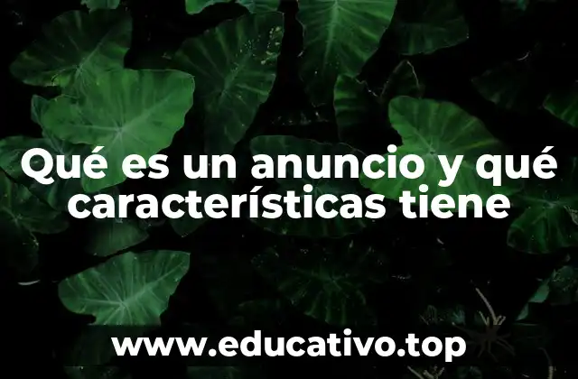 La importancia de los anuncios en la sociedad contemporánea