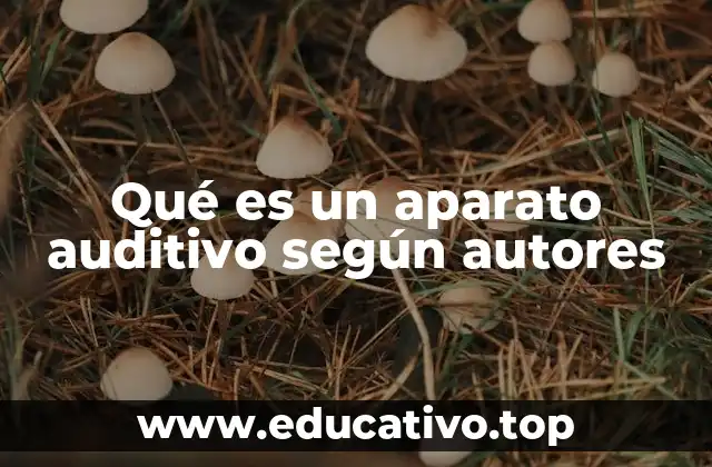 Qué es un aparato auditivo según autores