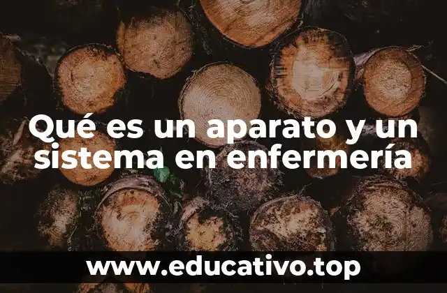 Qué es un aparato y un sistema en enfermería