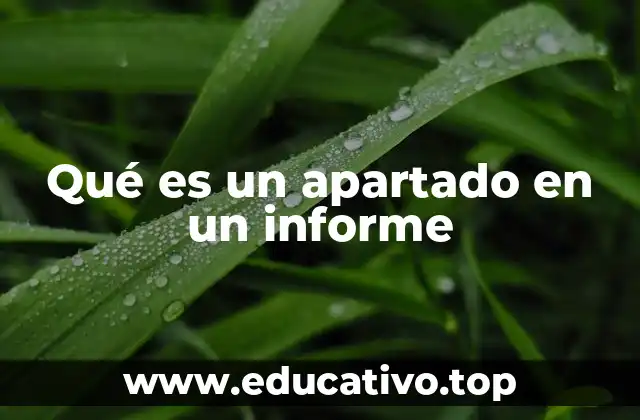 Qué es un apartado en un informe