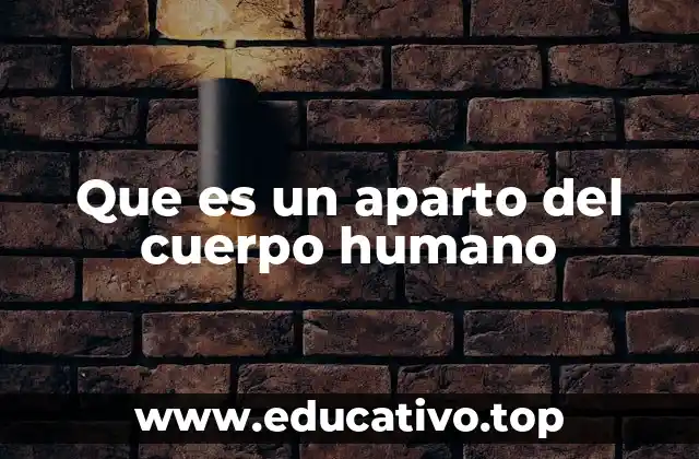 Que es un aparto del cuerpo humano