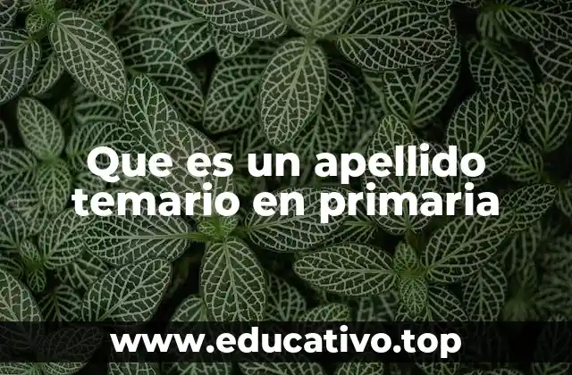 Que es un apellido temario en primaria