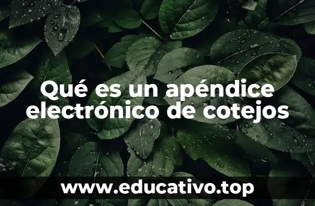 Qué es un apéndice electrónico de cotejos