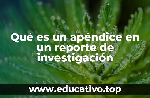 Qué es un apéndice en un reporte de investigación