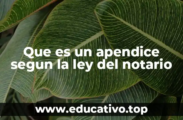 Que es un apendice segun la ley del notario