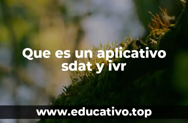Que es un aplicativo sdat y ivr