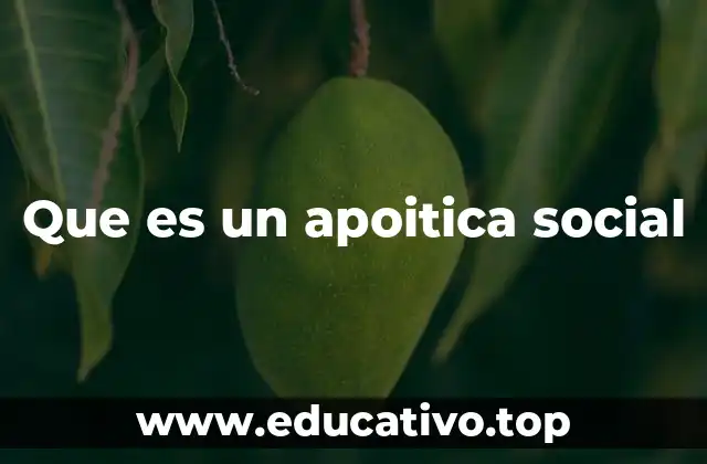 Que es un apoitica social