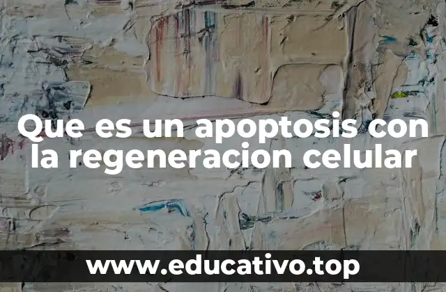 Que es un apoptosis con la regeneracion celular
