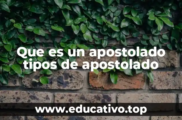 Que es un apostolado tipos de apostolado