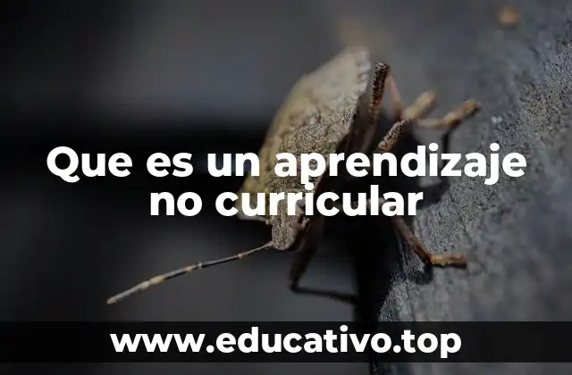 Que es un aprendizaje no curricular