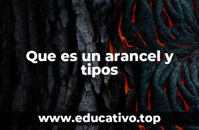 Que es un arancel y tipos