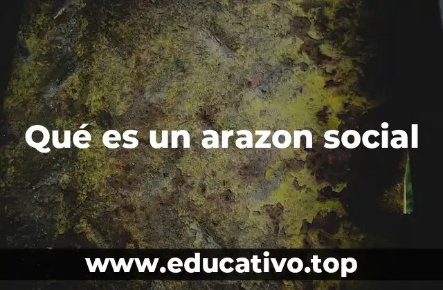 Qué es un arazon social
