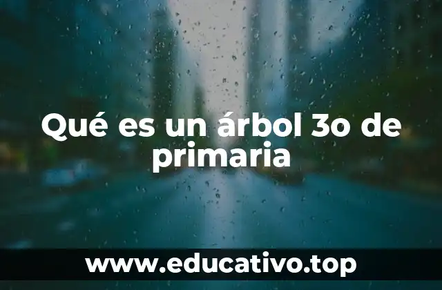 Qué es un árbol 3o de primaria