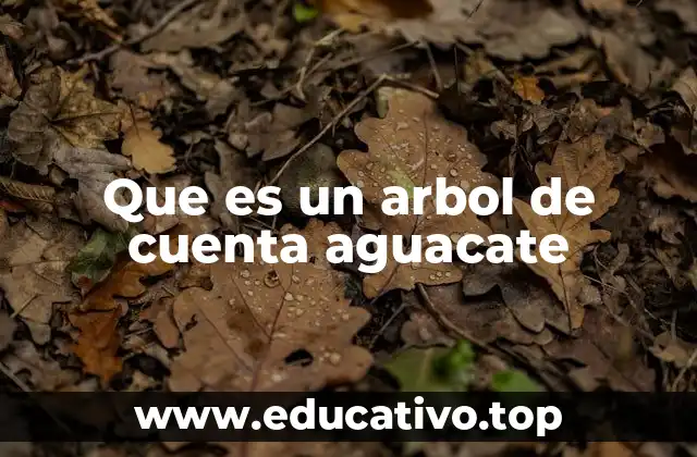 Que es un arbol de cuenta aguacate