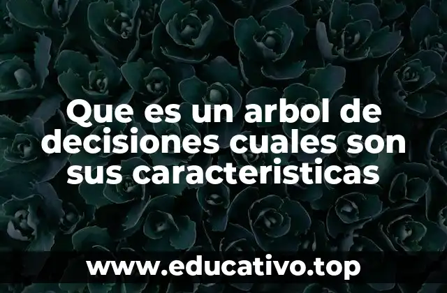 Un modelo gráfico para estructurar decisiones complejas