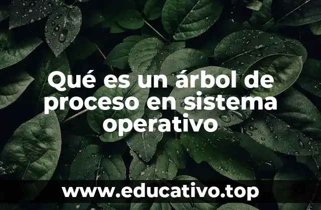 Qué es un árbol de proceso en sistema operativo