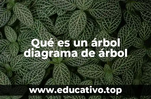 Qué es un árbol diagrama de árbol