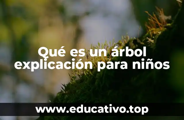 Qué es un árbol explicación para niños