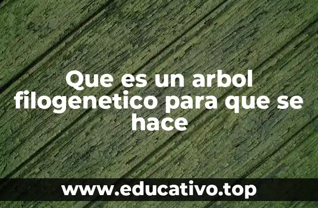 Que es un arbol filogenetico para que se hace