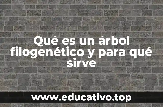 Qué es un árbol filogenético y para qué sirve