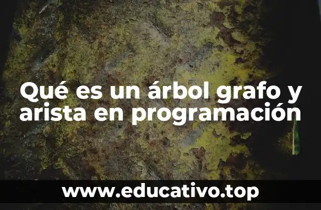 Qué es un árbol grafo y arista en programación