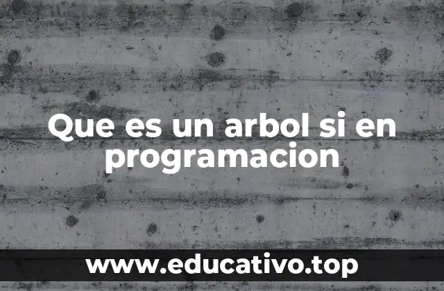 Que es un arbol si en programacion