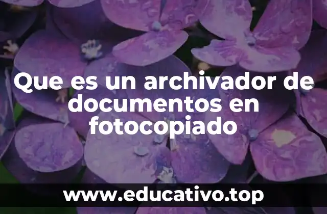 Que es un archivador de documentos en fotocopiado
