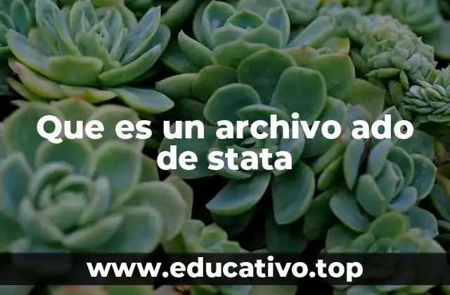 Que es un archivo ado de stata