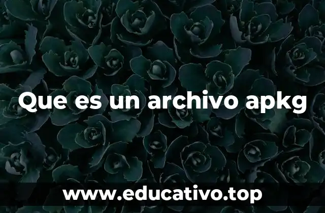Que es un archivo apkg