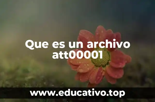 ¿Cómo se genera un archivo como att00001?