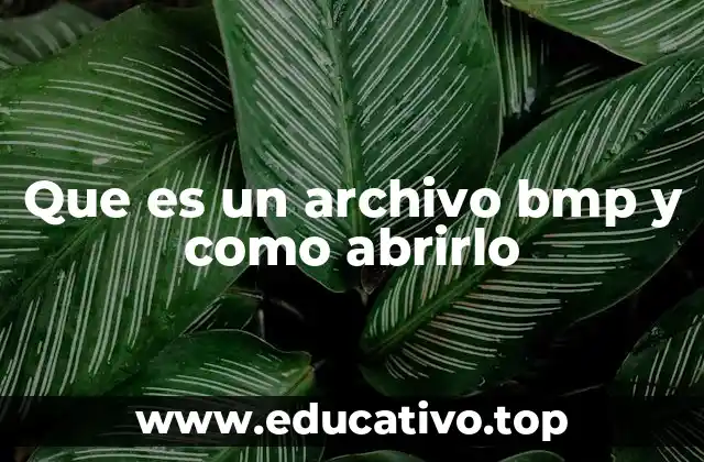 Que es un archivo bmp y como abrirlo