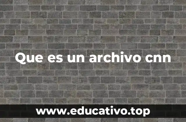 Que es un archivo cnn