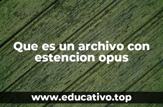 Que es un archivo con estencion opus