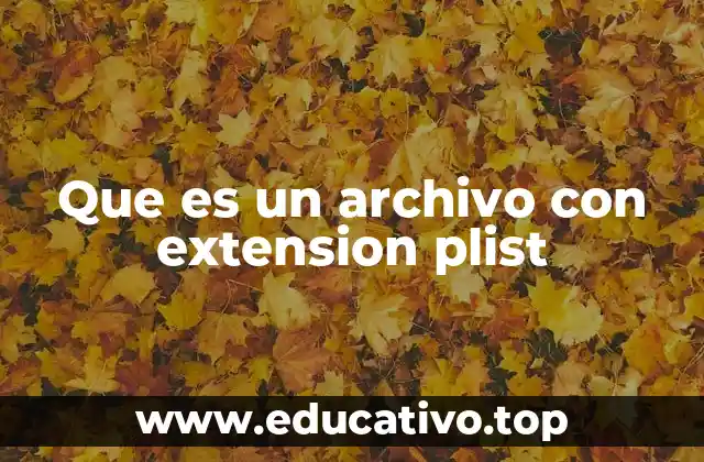 Que es un archivo con extension plist